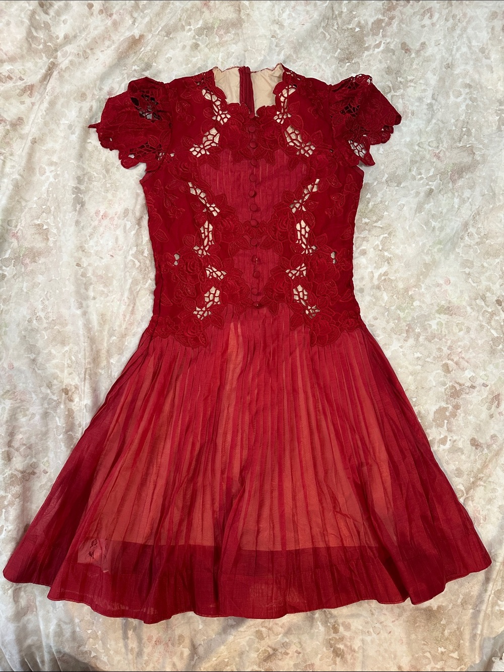 Red Lace Fit & Flare Mini Dress - Picture 6 of 6
